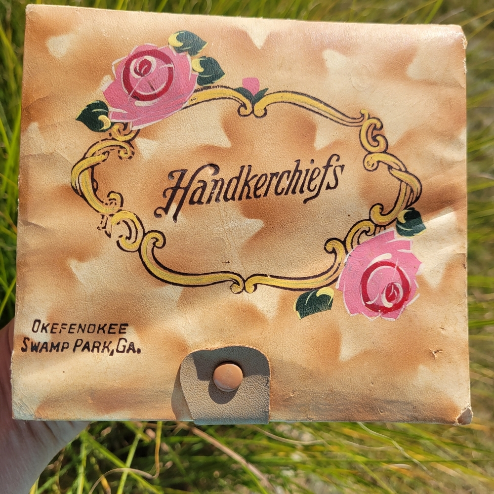 Vintage Handkerchief Souvenir Hankie Box ~ Okefenokee Swamp Park, GA ~ FINAL !!